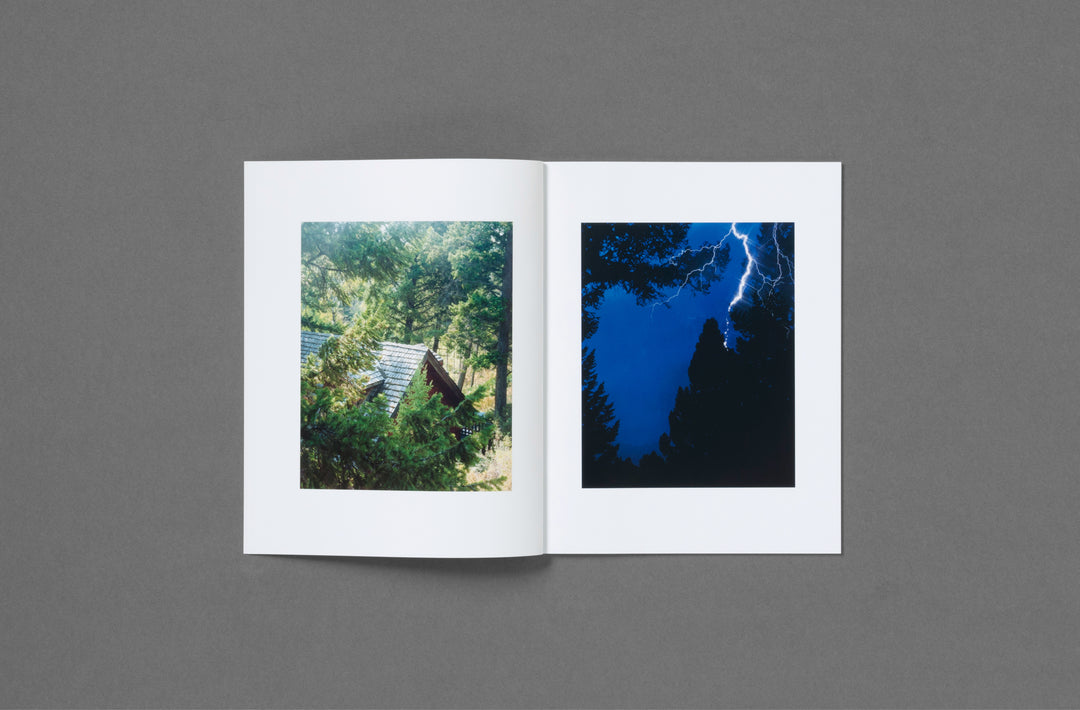 Roe Ethridge – In the Beginning