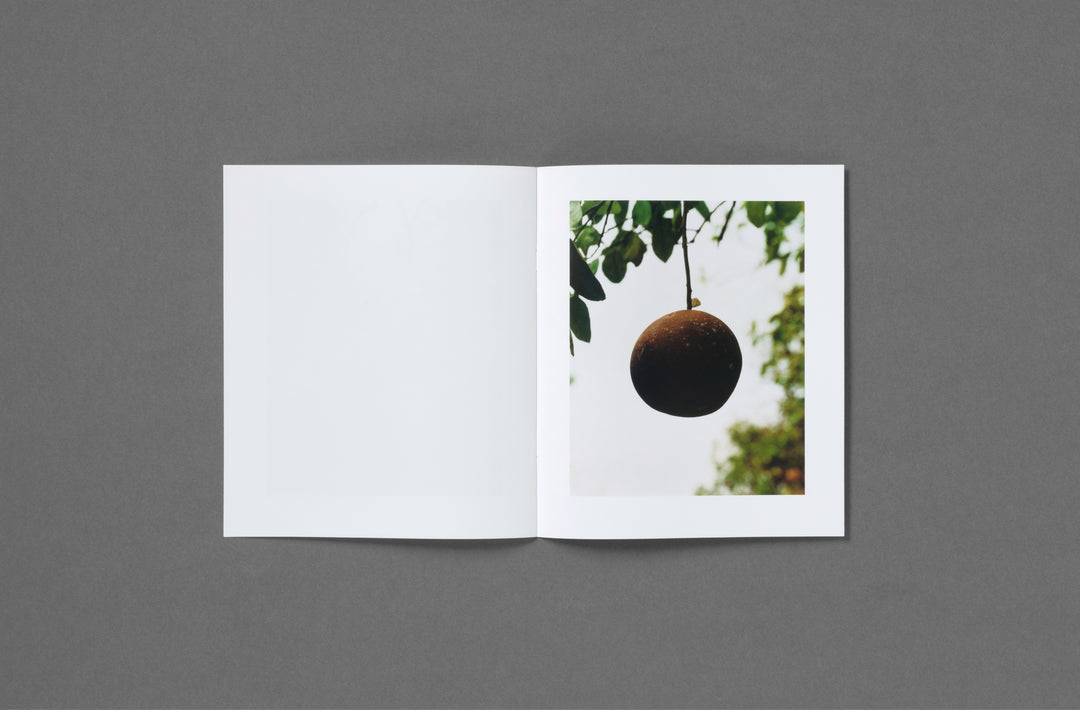 Roe Ethridge – In the Beginning