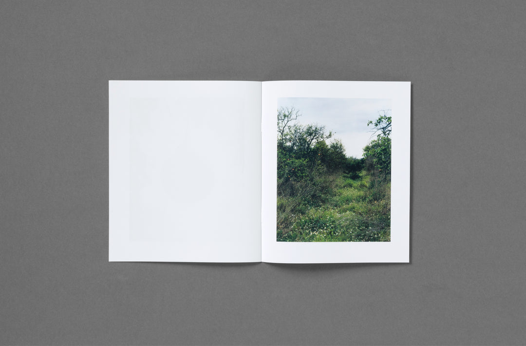 Roe Ethridge – In the Beginning