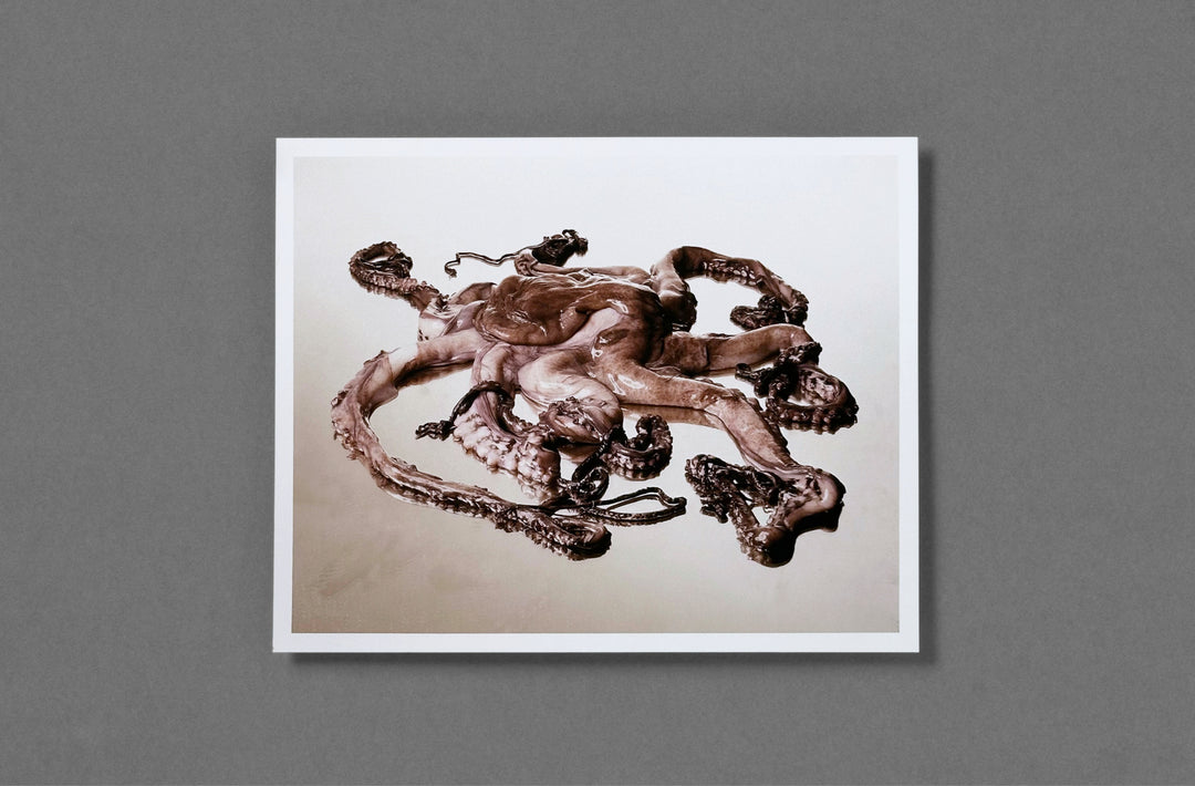 Roe Ethridge – In the Beginning Special Edition